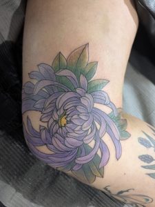 Chrysentemum_colors3