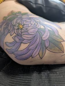 Chrysenthemum_colors