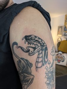 snake_BG